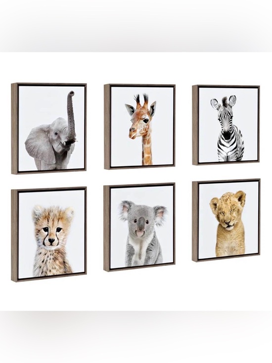Other - ‘Safari Animals’ by Amy Peterson - Floater Frame Graphic Art Prints (Set of 6)